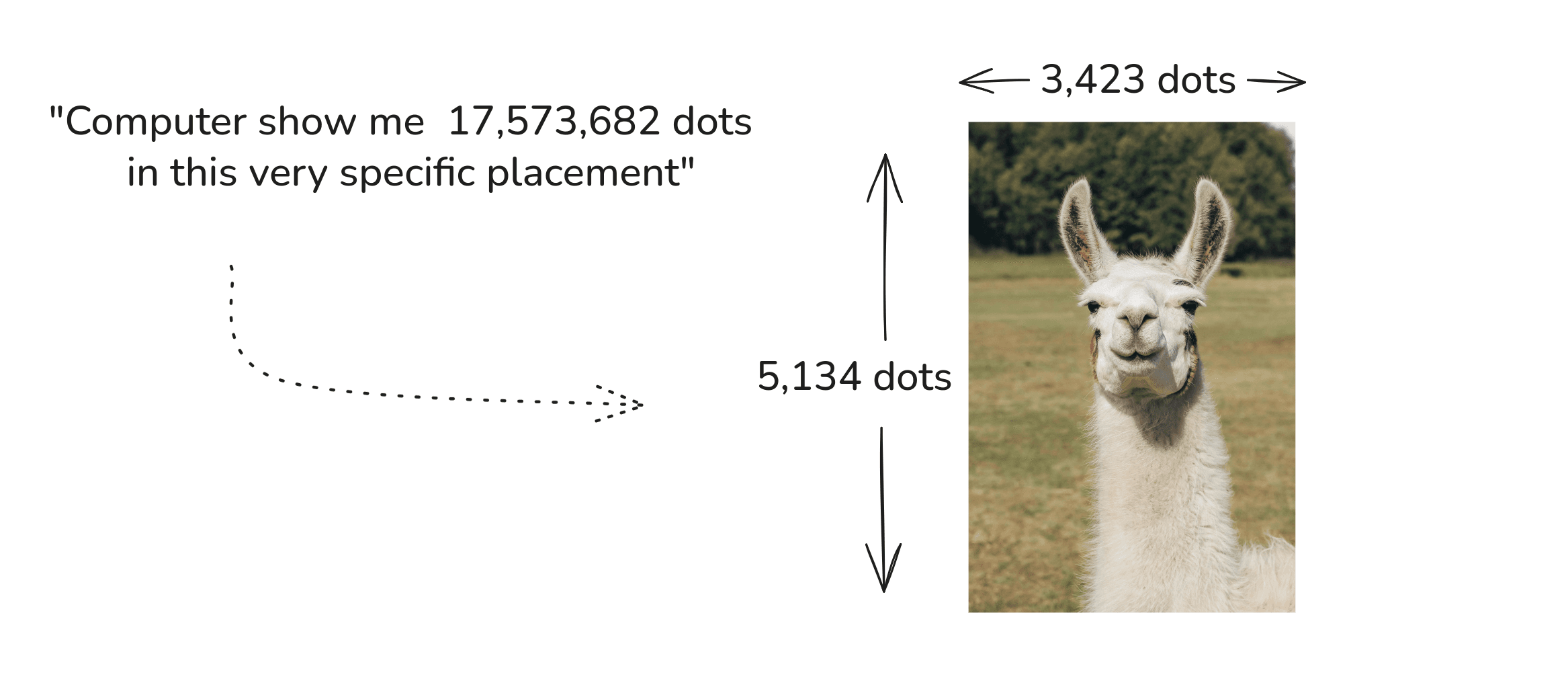 A high-resolution photograph of a white llama on a green grass field, presented as the same kind of grid — only now with millions of finely coloured dots.